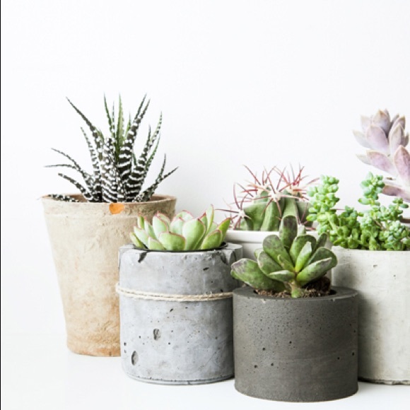 Meet your Posher, unicorngoods - Picture 1 of 1